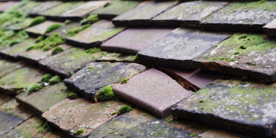 Chicksands roof repair costs